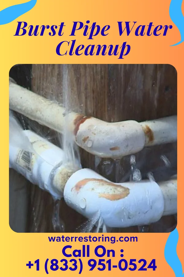 Burst Pipe Water Cleanup in Hillburn, NY