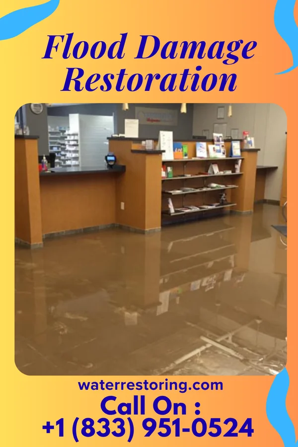 Flood Damage Restoration in Hillburn, NY