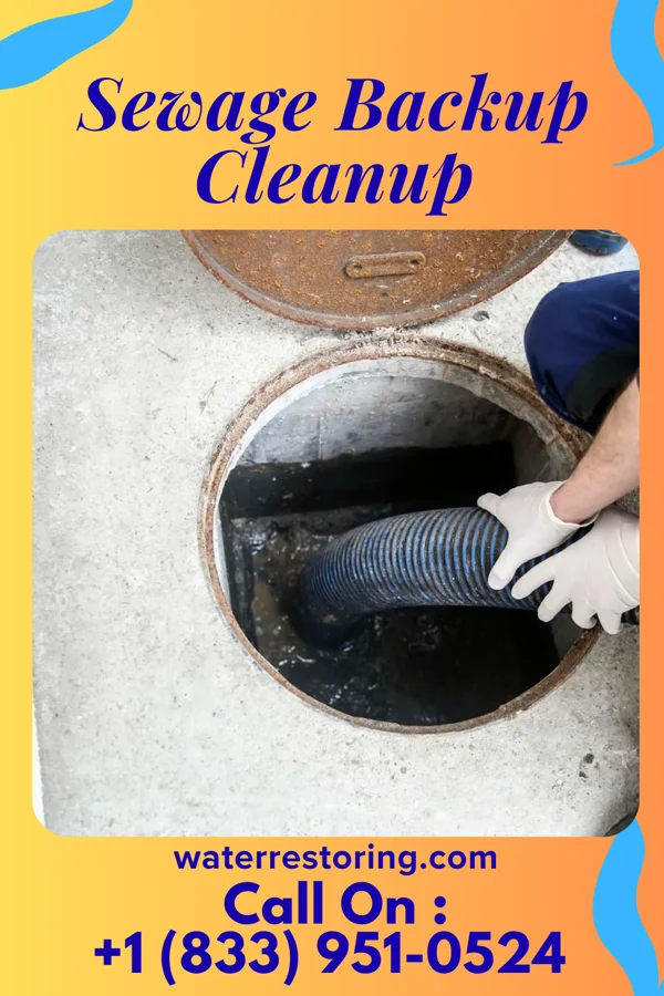 Sewage Backup Cleanup in Hillburn, NY