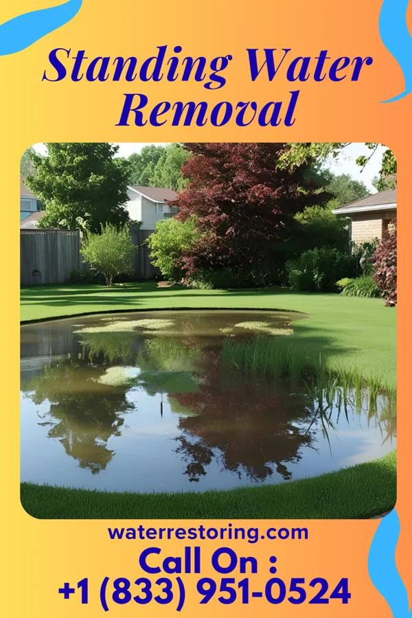 Standing Water Removal in Hillburn, NY